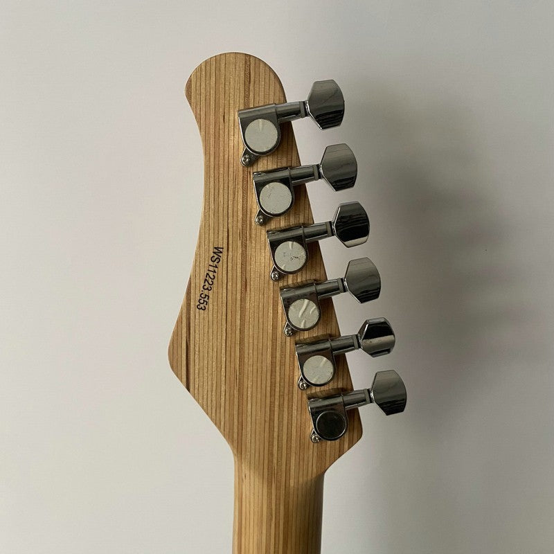 Fretlight Double Cutaway Guitar Basswood Body Maple Neck Rosewood Fret