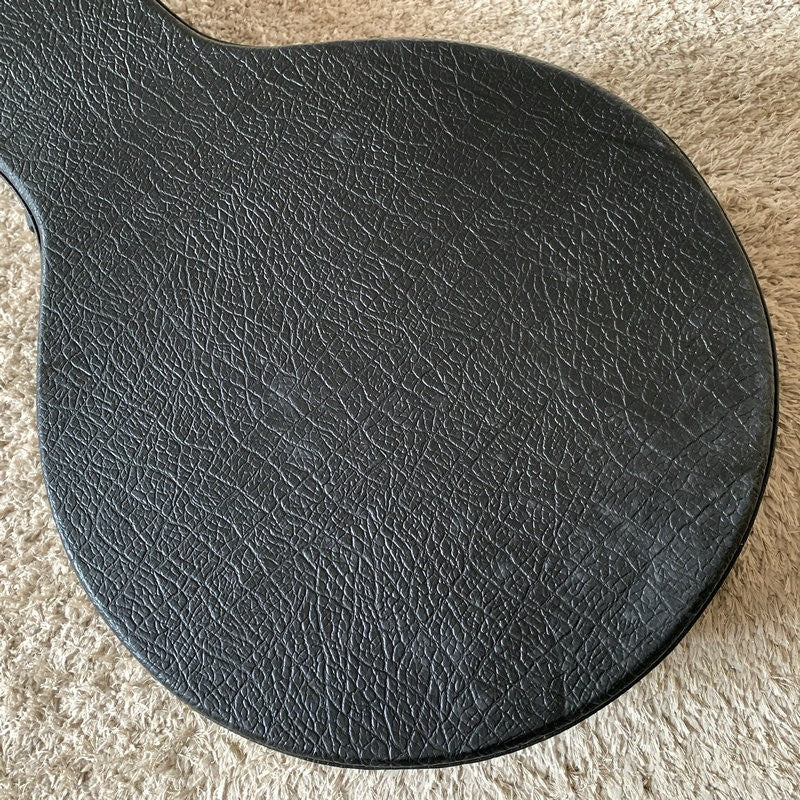Black Banjo Leather Hard Case