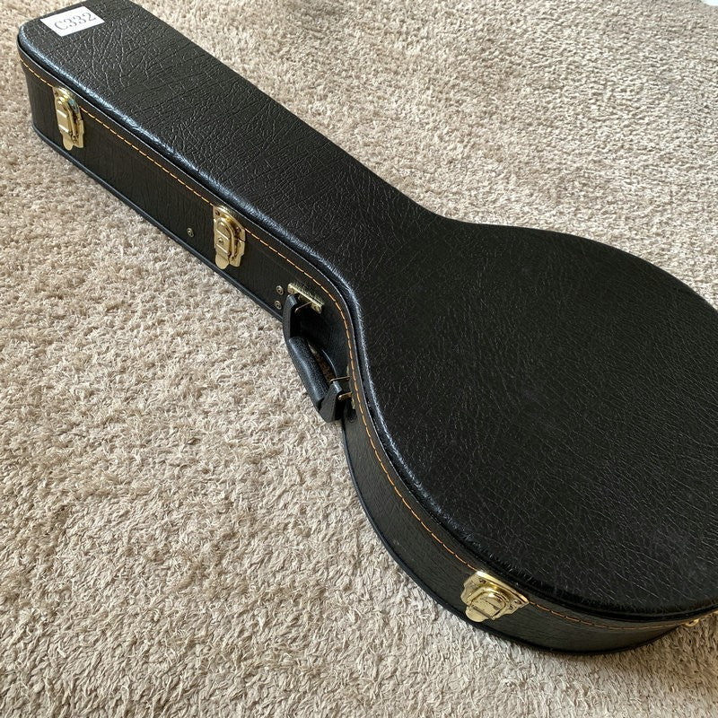 Black Banjo Leather Hard Case