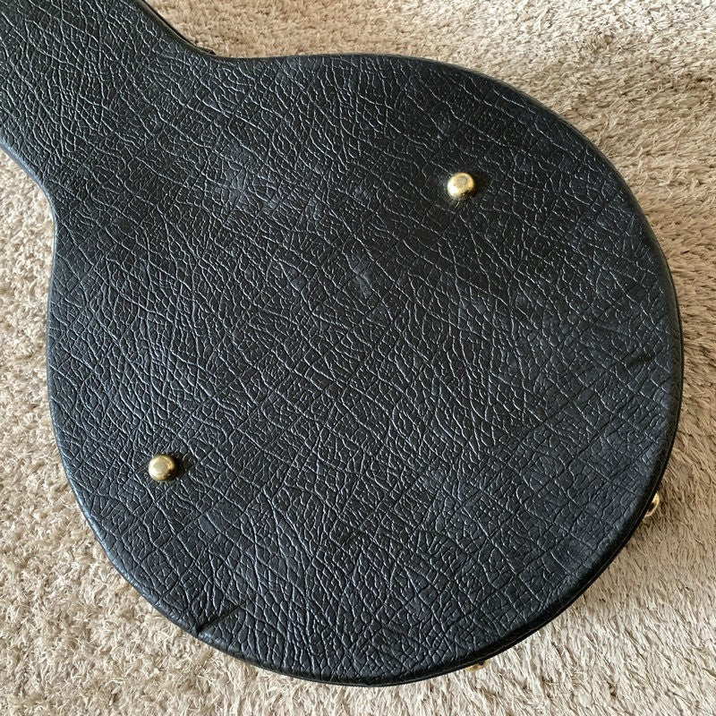 Black Banjo Leather Hard Case