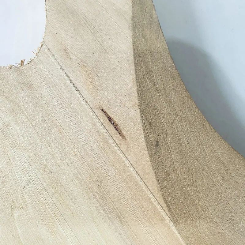 4 String Electric Bass Basswood Body