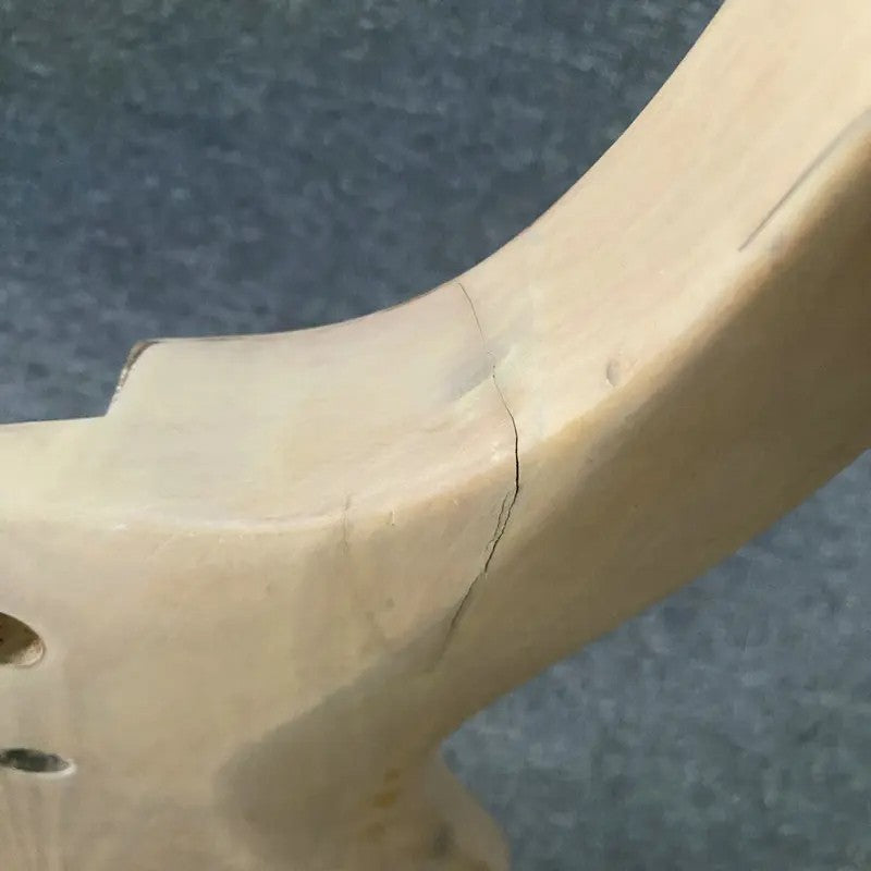 Solid Basswood Bass Guitar DIY Project Body