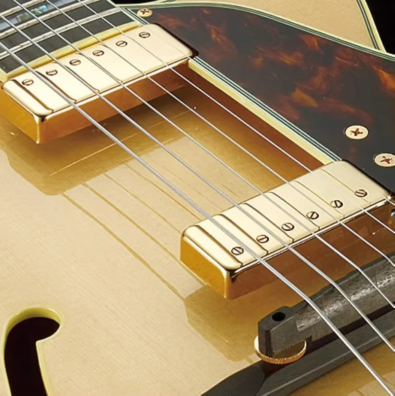 Hollow Body Jazz Guitar Float Neck Alnico Pickup