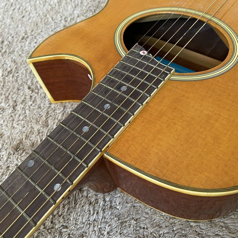 Sakura 40 Inch Acoustic Guitar, Mahogany Body and Neck, Rosewood Finge