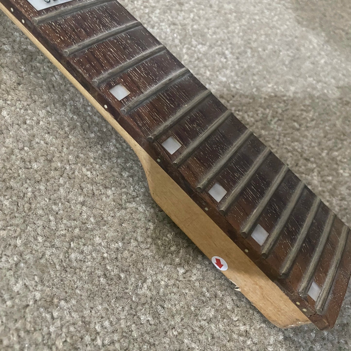 Sebrew Electric Guitar Maple Wood Neck, Rosewood Fingerboard 24 Frets