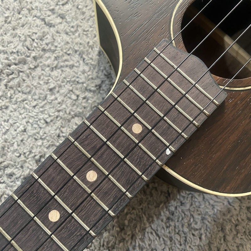 Ibanez 4 String Electric Ukulele Mini Guitar, Nylon Strings, Black Wal