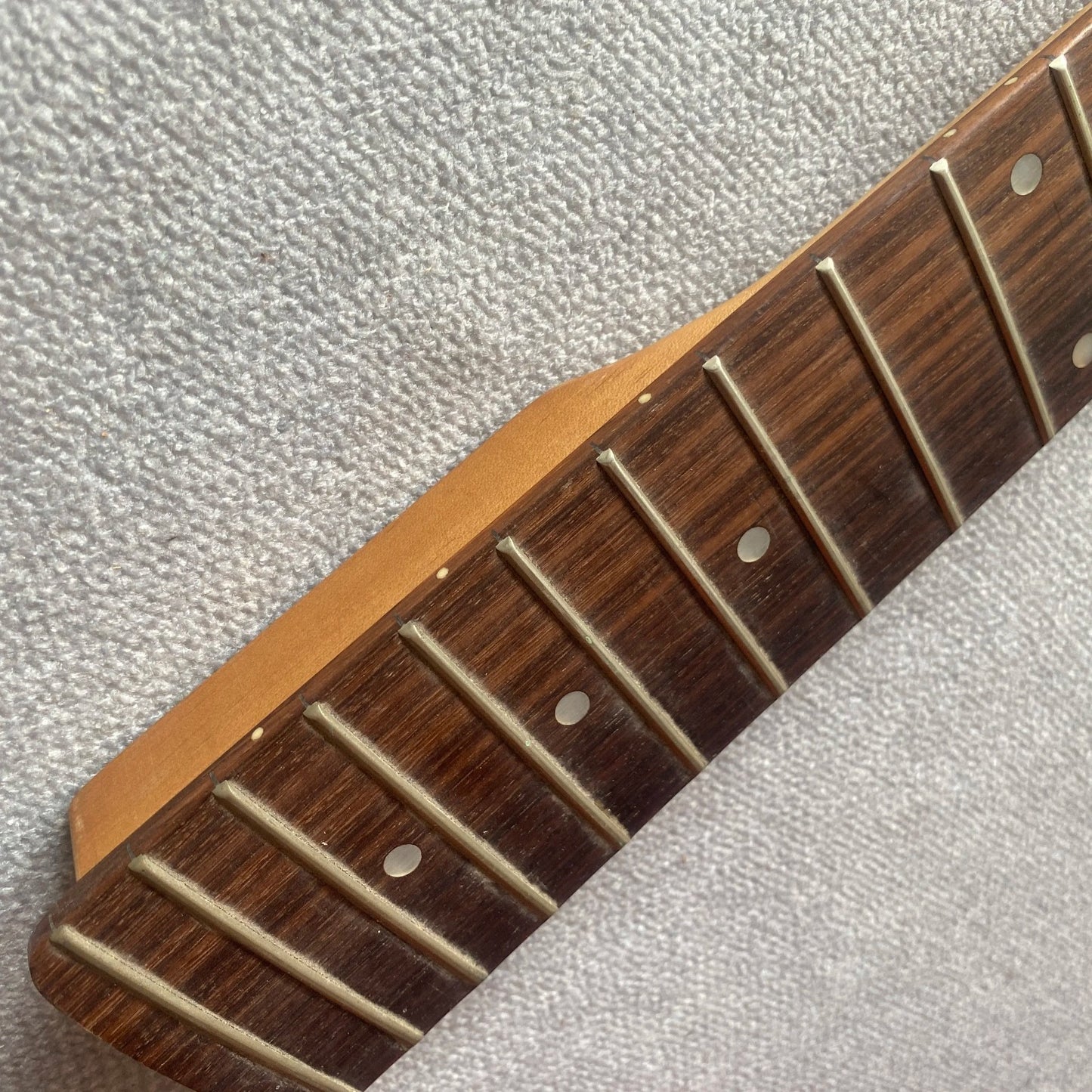 Eko 5 String Electric Bass Maple Wood Neck, Rosewood Fretboard 21 Fret