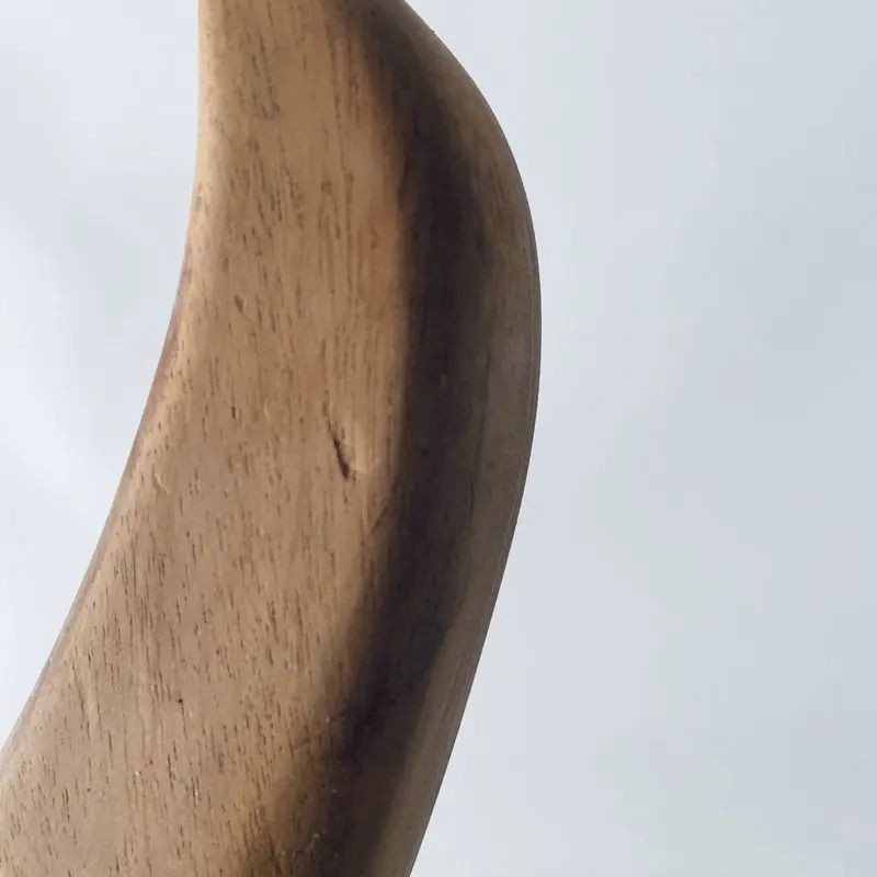 Wenge Wood Top Fanned Bass Guitar Body DIY Project