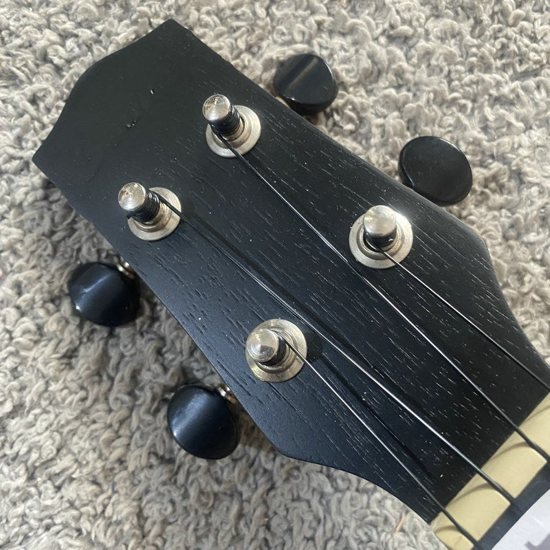 Ibanez 4 String Electric Ukulele Mini Guitar, Nylon Strings, Black Wal