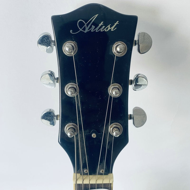 Black Single Cut Electric Guitar, Mahogany Body and Neck, Rosewood Fin