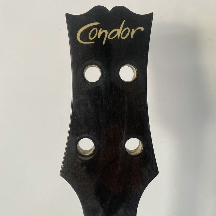 Condor 4 String Acoustic Electric Bass, Ash Top Mahogany Body and Neck