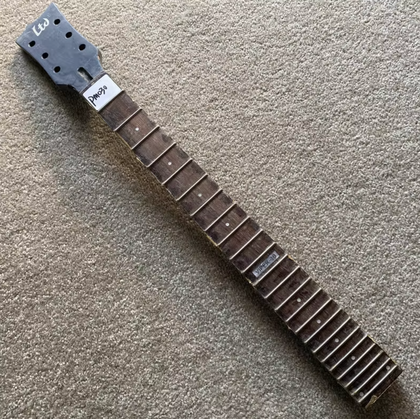 ESP LTD VIPER-10 Maple Wood Guitar Neck, Rosewood Fingerboard