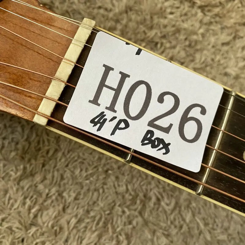 12 String Electric Acoustic Guitar Spruce Maple Plywood Body, with Neck