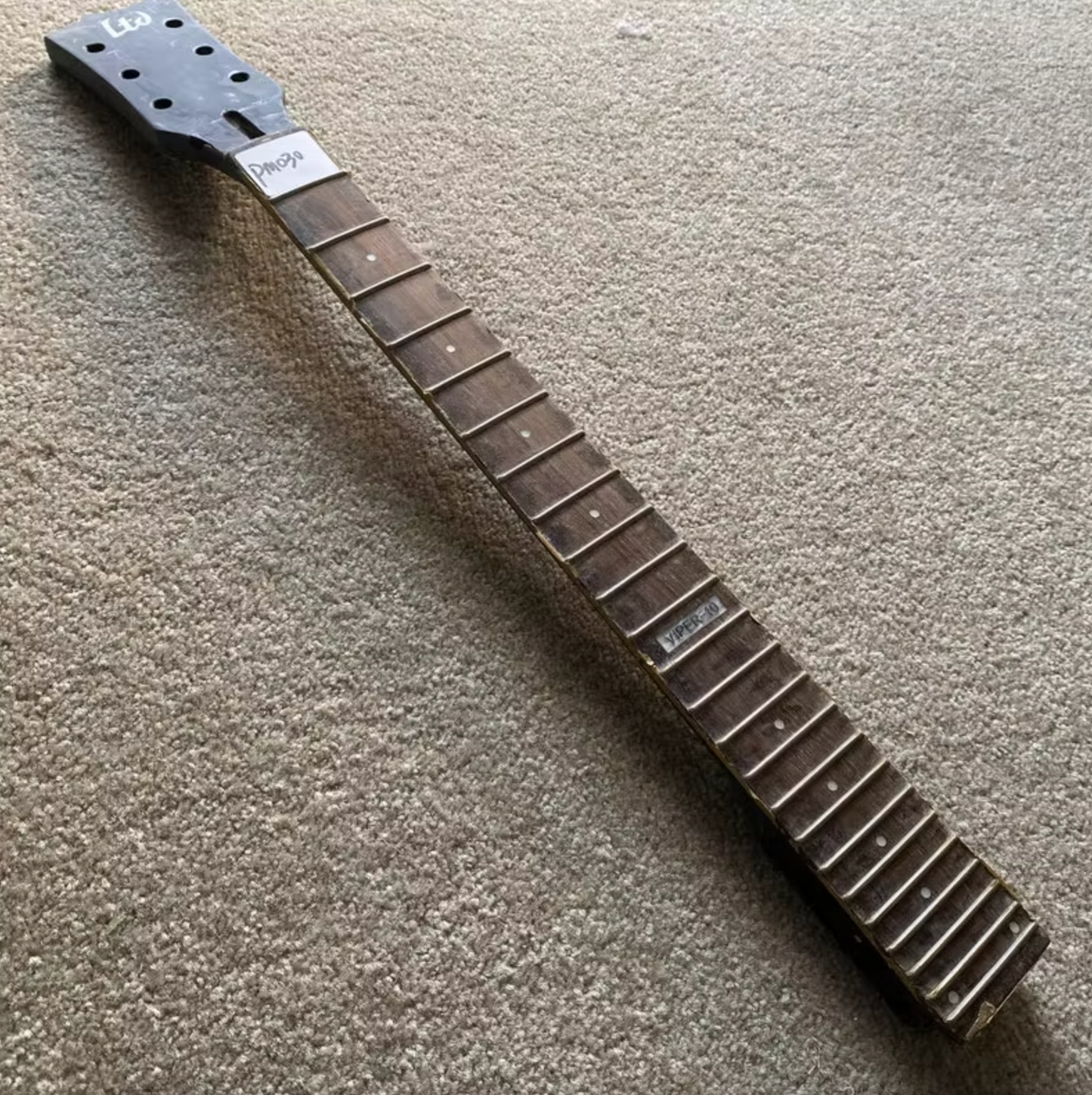 ESP LTD VIPER-10 Maple Wood Guitar Neck, Rosewood Fingerboard