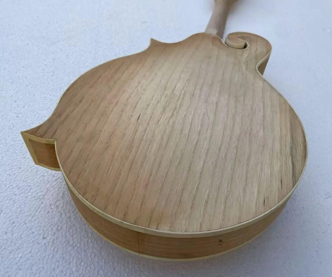 Custom DIY Project 8 String Mandolin, Maple Neck, Rosewood Fretboard