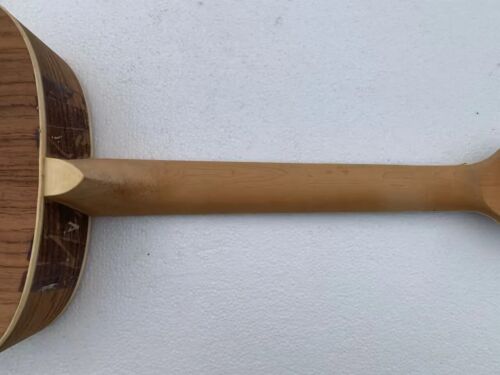 DIY Project Dobro Resonator Guitar, Maple Neck, Rosewood Fingerboard