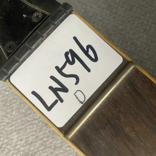 Thunder Electric Guitar Maple Wood Neck, Rosewood 22 Frets Fingerboard