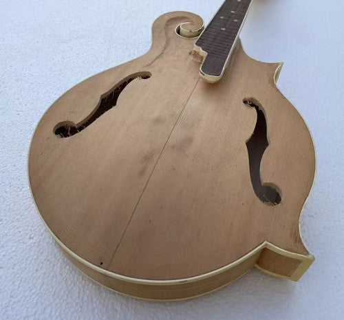 Custom DIY Project 8 String Mandolin, Maple Neck, Rosewood Fretboard
