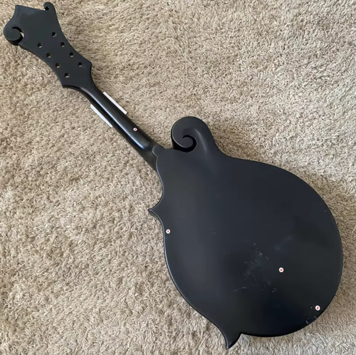 Black 8 String Mandolin, Spruce and Mahogany Body, 24 Frets Rosewood Fretboard