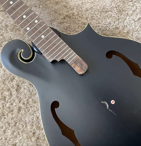 Black 8 String Mandolin, Spruce and Mahogany Body, 24 Frets Rosewood Fretboard