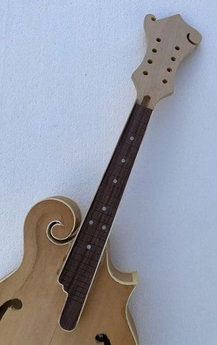 Custom DIY Project 8 String Mandolin, Maple Neck, Rosewood Fretboard