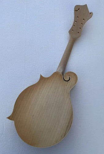 Custom DIY Project 8 String Mandolin, Maple Neck, Rosewood Fretboard