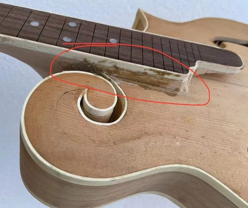 Custom DIY Project 8 String Mandolin, Maple Neck, Rosewood Fretboard