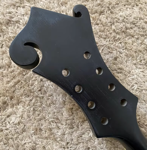 Black 8 String Mandolin, Spruce and Mahogany Body, 24 Frets Rosewood Fretboard