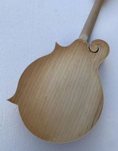 Custom DIY Project 8 String Mandolin, Maple Neck, Rosewood Fretboard