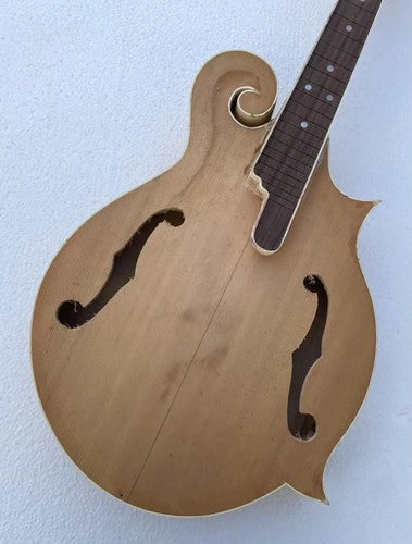 Custom DIY Project 8 String Mandolin, Maple Neck, Rosewood Fretboard