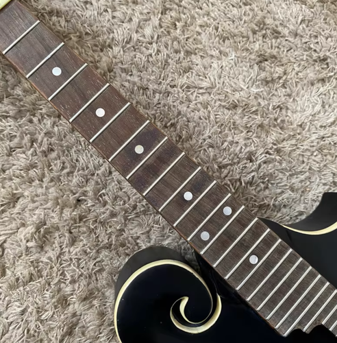 Black 8 String Mandolin, Spruce and Mahogany Body, 24 Frets Rosewood Fretboard