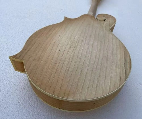 Custom DIY Project 8 String Mandolin, Maple Neck, Rosewood Fretboard