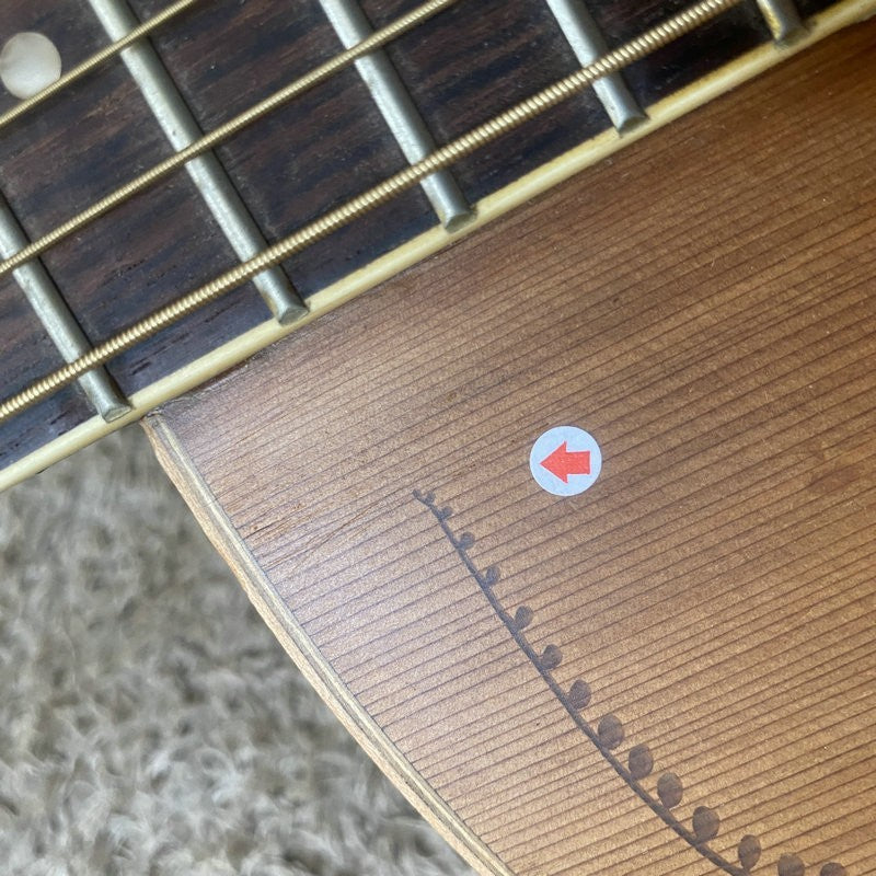 Luna Engraved Red Pine Top Acoustic Guitar, Mahogany Neck, Rosewood Fi