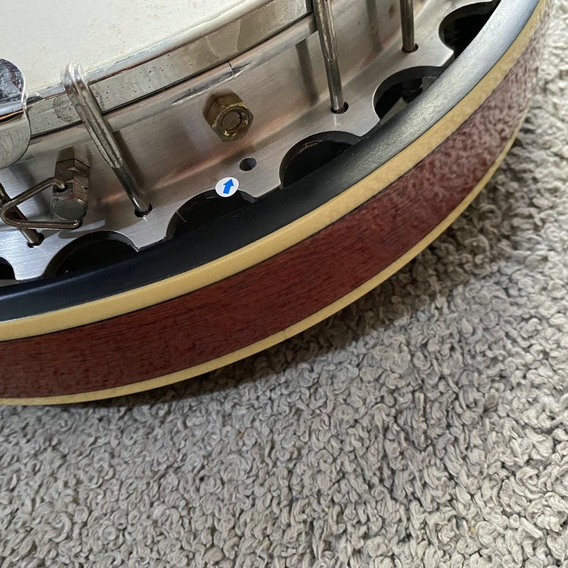 4 String Acoustic Banjo, Mahogany Neck, Rosewood Fingerboard