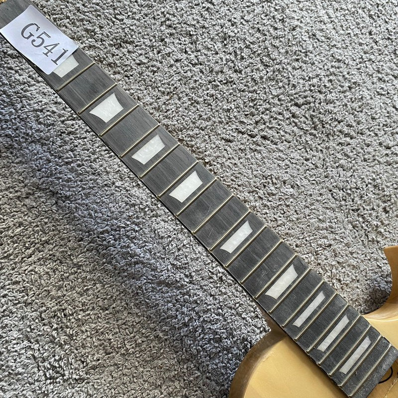 Single Cut Basswood Guitar Body with Maple Neck, Rosewood Fretboard Fi