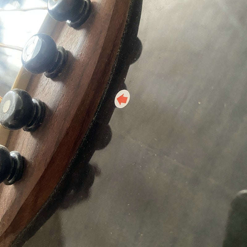 Ibanez 4 String Acoustic Electric Bass, Spruce and Tiger Maple Top Bod
