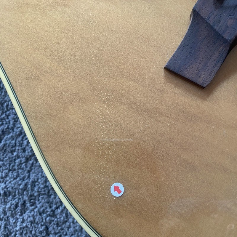 Eko Left Handed Acoustic Electric Bass, Spruce Mahogany Body, Rosewood