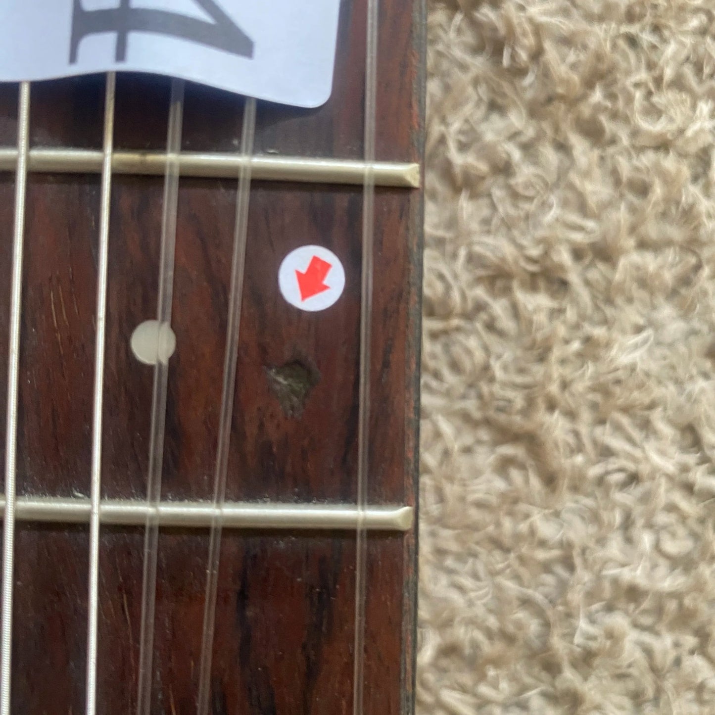Luna 40' Classical Guitar, Cedar Top Body, Mahogany Neck, Rosewood Fin