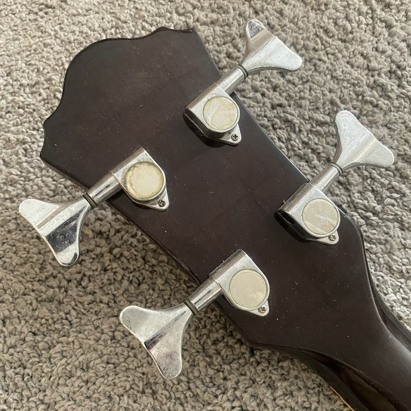 Ibanez 4 String Acoustic Electric Bass, Spruce and Tiger Maple Top Bod