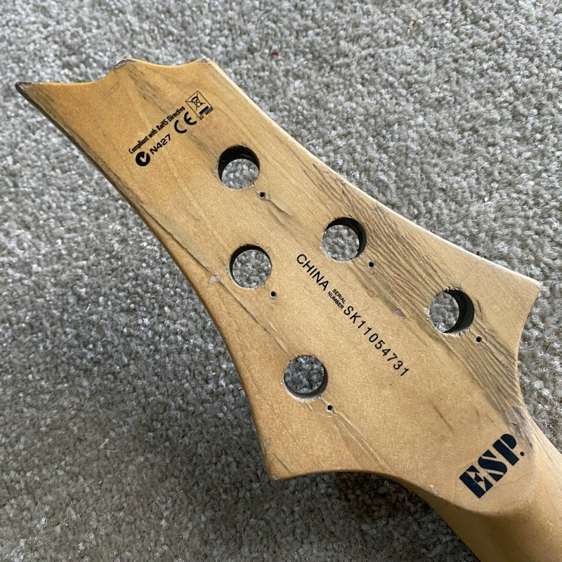 ESP LTD 5 String Bass Maple Neck, Rosewood Fingerboard