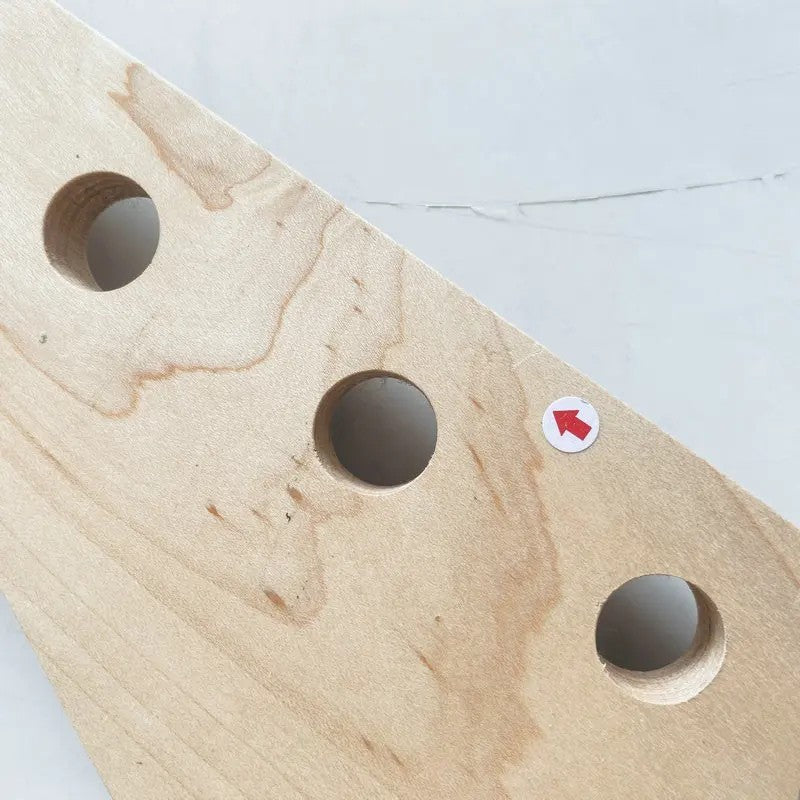 Mini 4 String Bass Maple Neck, Rosewood 21 Frets Fingerboard