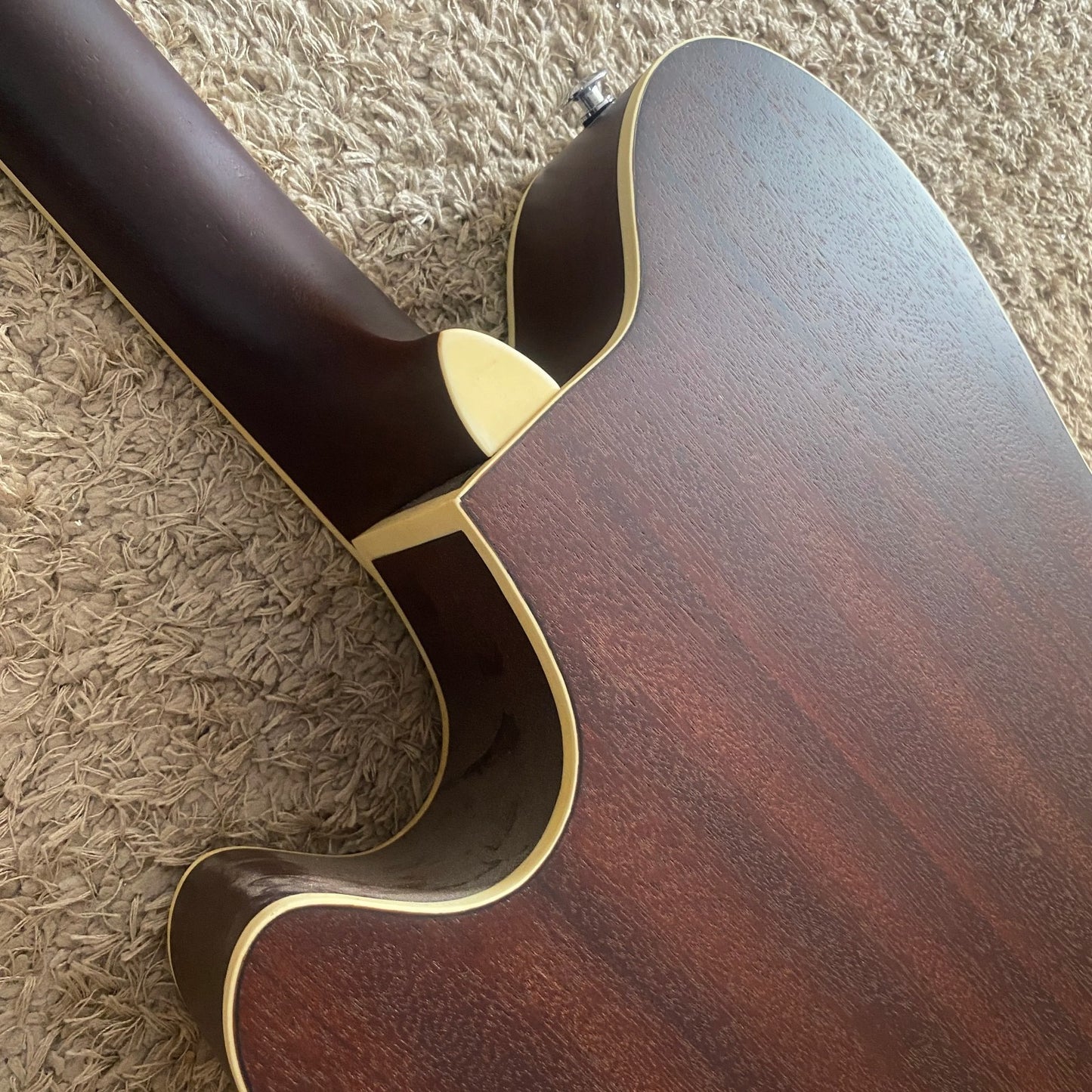 Ibanez Talman Acoustic Electric Guitar, Mahogany Body, Neck, Rosewood