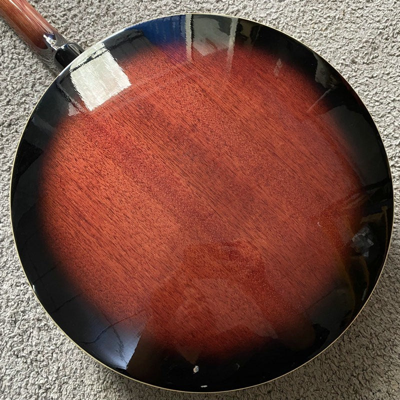 4 String Acoustic Banjo, Mahogany Neck, Rosewood Fingerboard