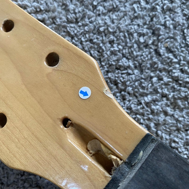 Single Cut Basswood Guitar Body with Maple Neck, Rosewood Fretboard Fi