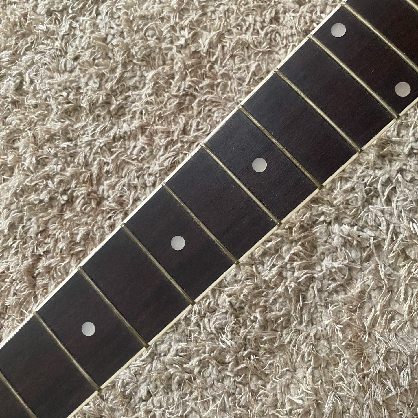 Ibanez Talman Acoustic Electric Guitar, Mahogany Body, Neck, Rosewood