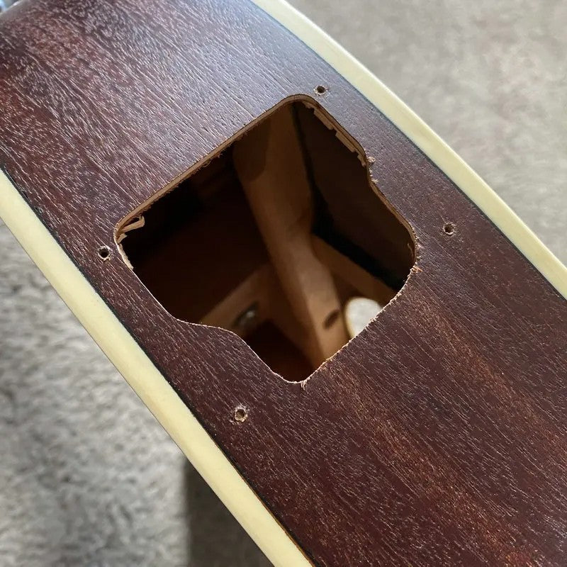 Ibanez Talman Acoustic Guitar Mahogany Body with Neck, Rosewood Finger