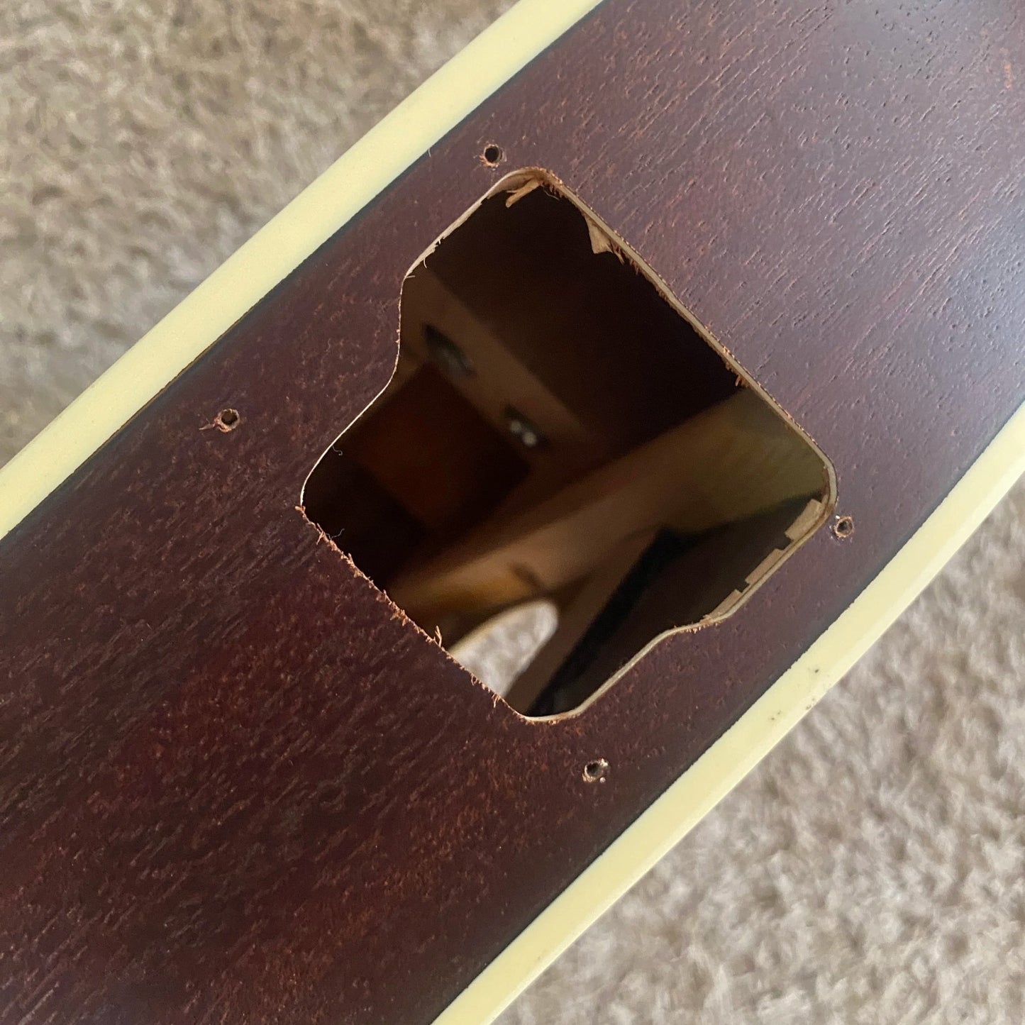 Ibanez Talman Acoustic Electric Guitar, Mahogany Body, Neck, Rosewood