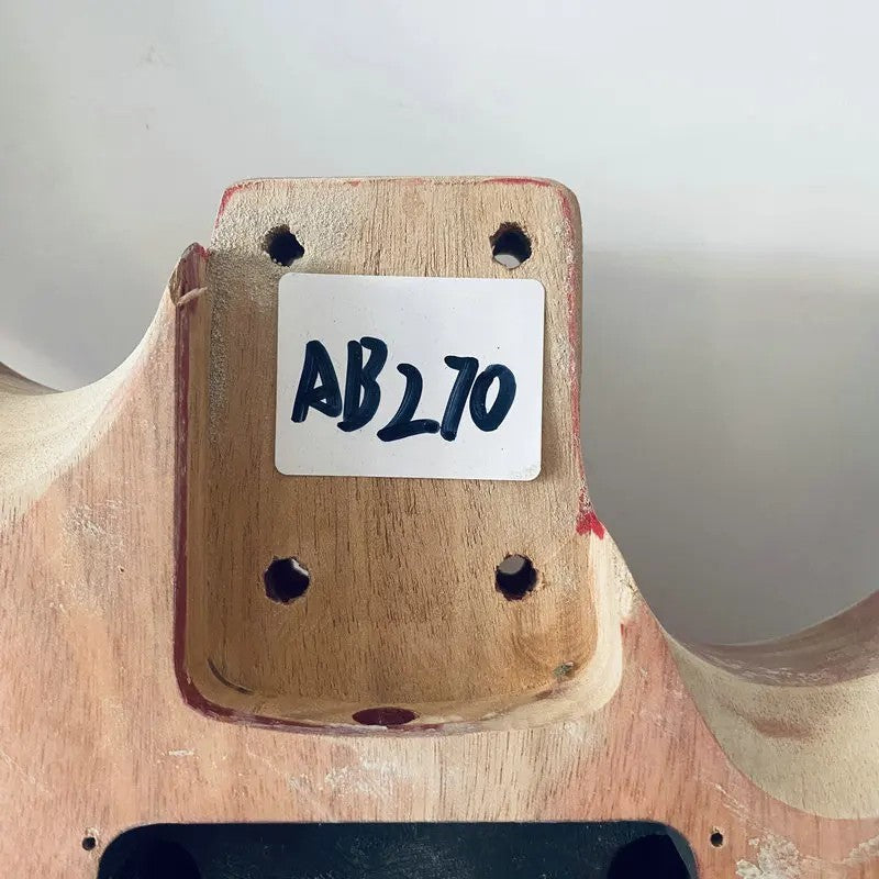 J&D Brothers HH Mahogany Wood Guitar Body DIY Project