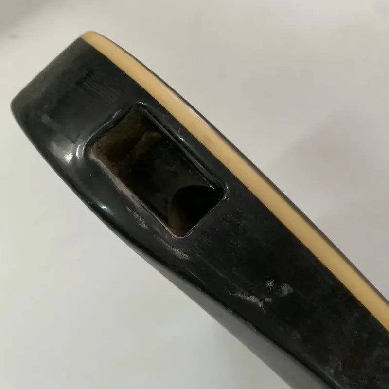 Black Basswood HH Guitar Body with Tiger Maple Top