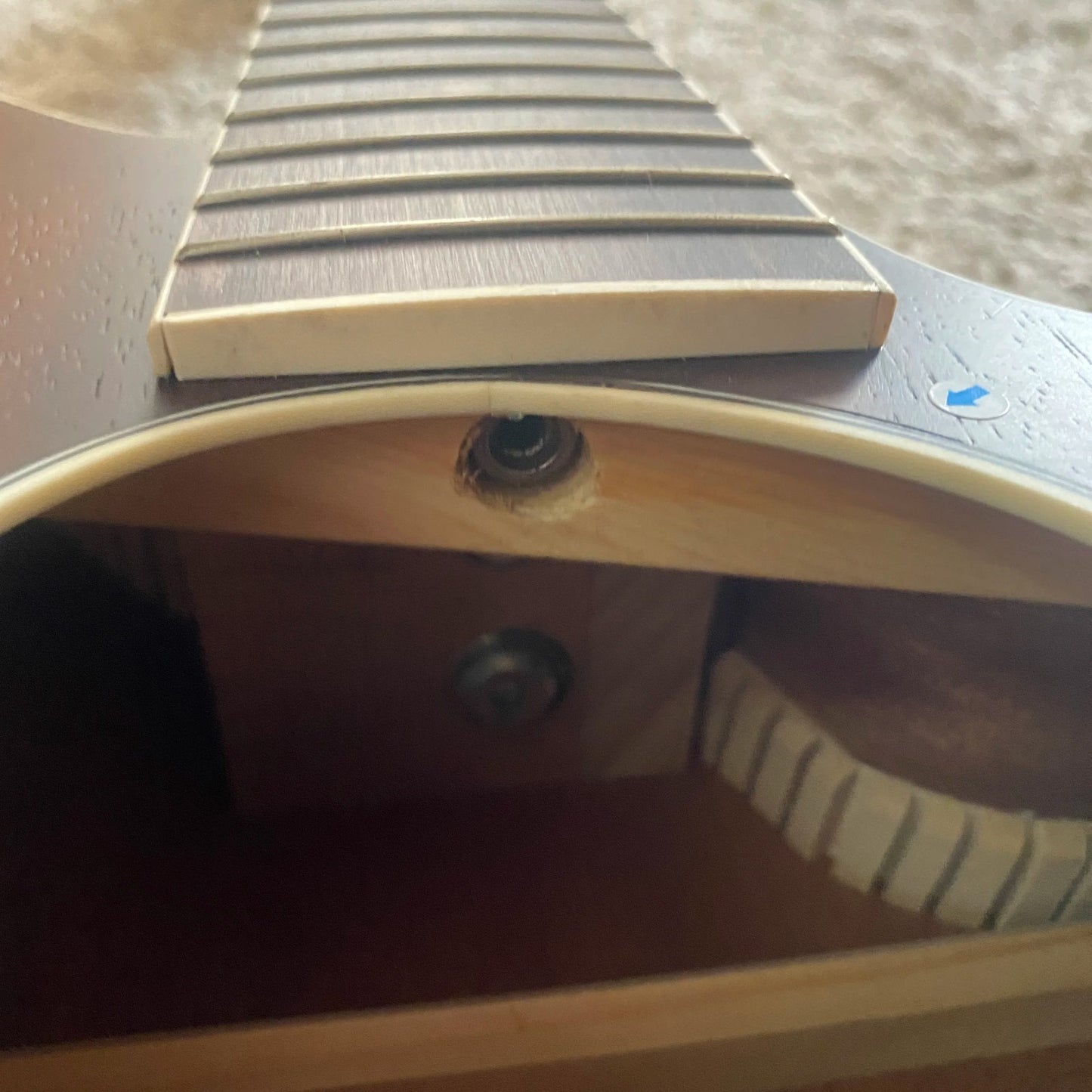 Ibanez Talman Acoustic Electric Guitar, Mahogany Body, Neck, Rosewood